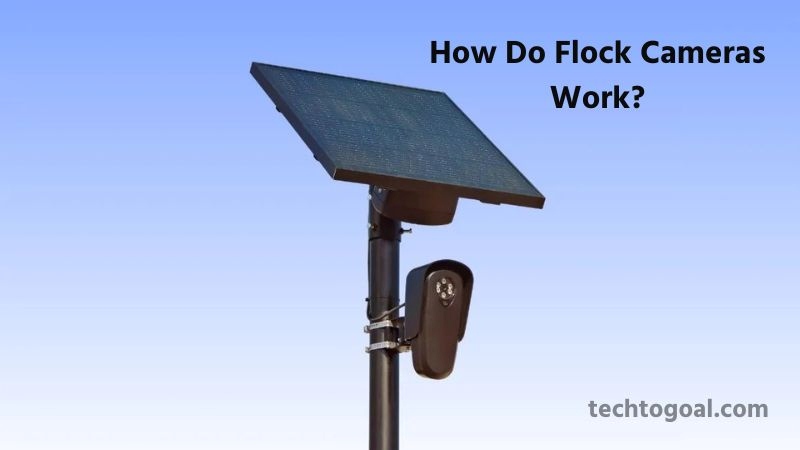 What Is a Flock Camera