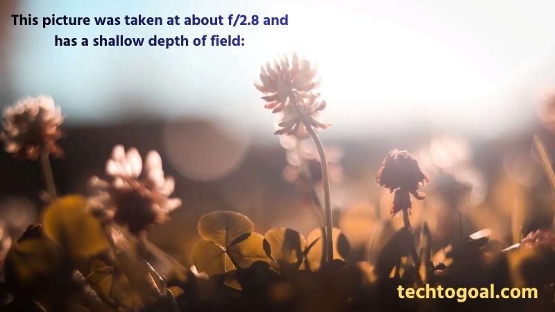 How to Shoot in Manual Mode