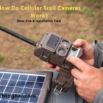 How Do Cellular Trail Cameras Work