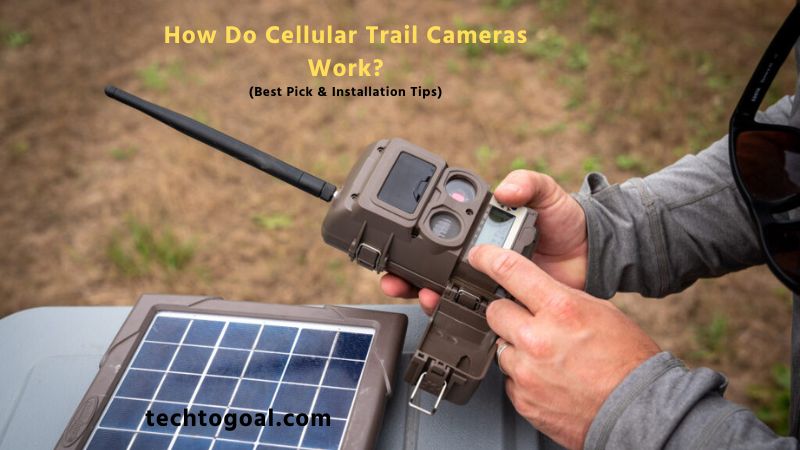 How Do Cellular Trail Cameras Work
