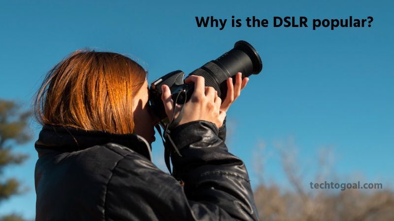 Why is the DSLR popular
