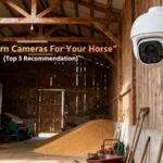 Best Barn Cameras
