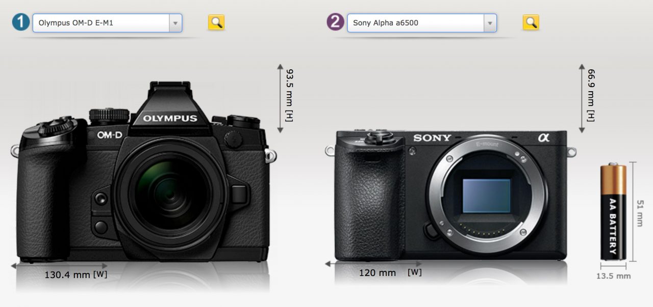 What Is An APS-C Camera